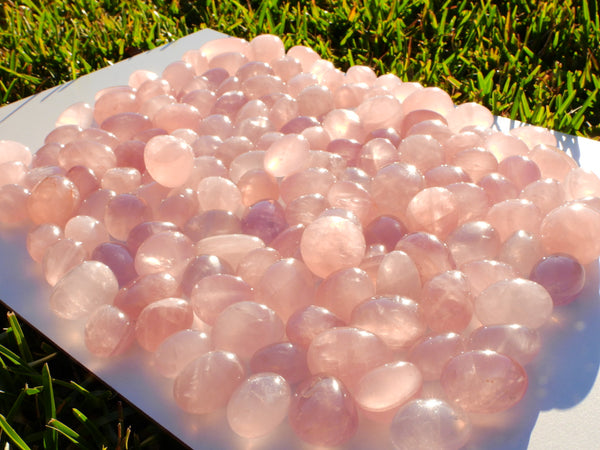 Lots of high quality Rose Quartz pumbles sparkling in the sunshine on a white board in the grass