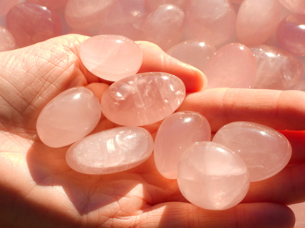 Lots of high quality Rose Quartz pumbles sparkling in the sunshine in someone's hand. Close up