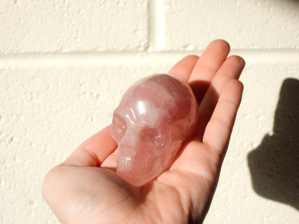 Star Rose Quartz skull