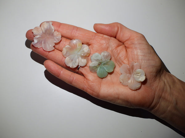 Flower Agate flowers