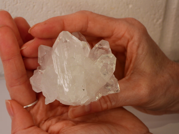 Super high grade Clear Apophyllite cluster