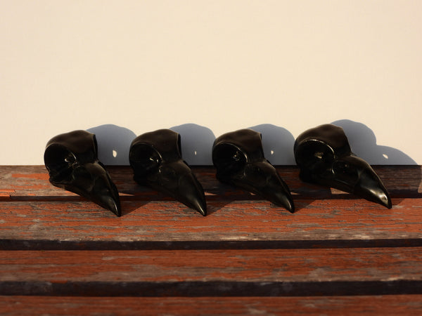 Black Obsidian raven skulls